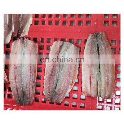 IQF packing frozen sardine fish fillet hot sale