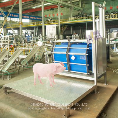 Hog Slaughter House Stunning Box For Hog Swine Pig Slaughtering Line