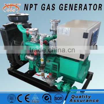 natural gas mini generator price