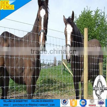 Galvanized steel fixed knot netting field fence of the goat