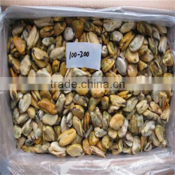 mussels/seafood importers