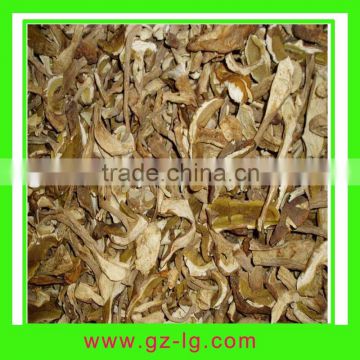 Dried mushrooms boletus edulis
