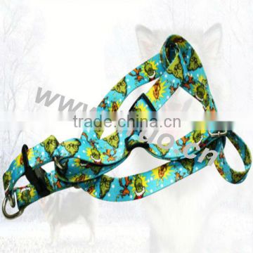 Embroidery Dog Harness