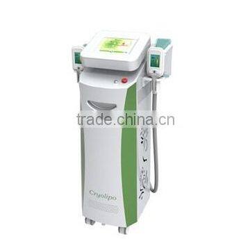 beauty salon equipmenthottest 2 handles cryolipolisis fat freezing