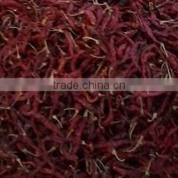 Dried red hottest chilli pepper Red dry hot whole bullet chilli pepper