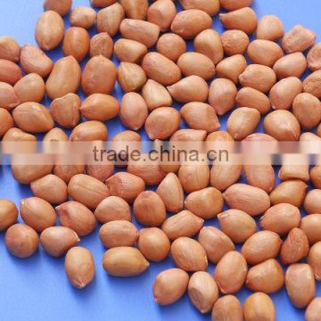 new crop Indian Java peanut 50/60