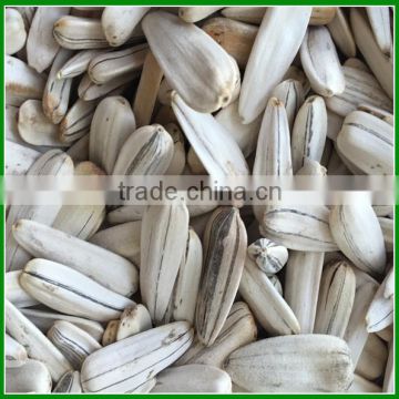 China Raw White Striped Sunflower Seeds for Human Eating