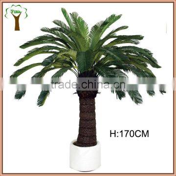 Landscape medium artificial cycas tree