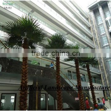 outdoor tropical decorative palm trees/hugh indoor decorative palm tree