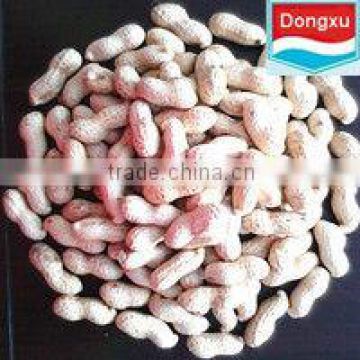 factory sale peanut in shell