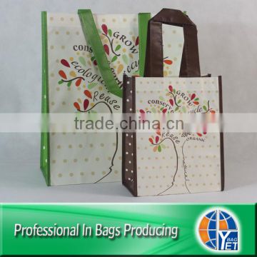 Custom made pp non woven eco handle shopping bag