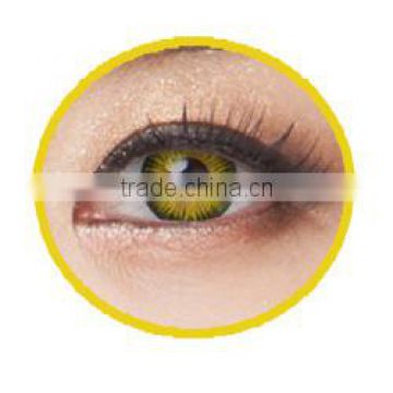 giyomi gold color korea CE ISO GMP contact lens ICO3-01