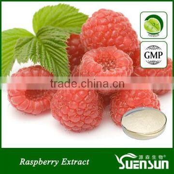 Alibaba gold supplier raspberry extract raspberry powder natural raspberry ketone