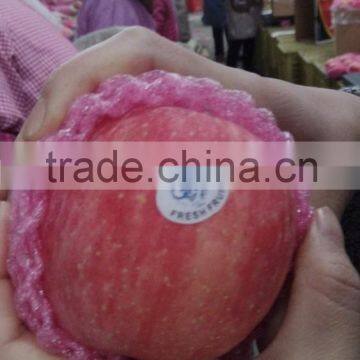 fresh delicious red fuji apples wholesaler