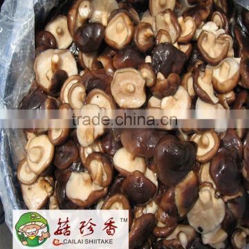 Salted shiitake mushroom in brine 50 kg plastic drum