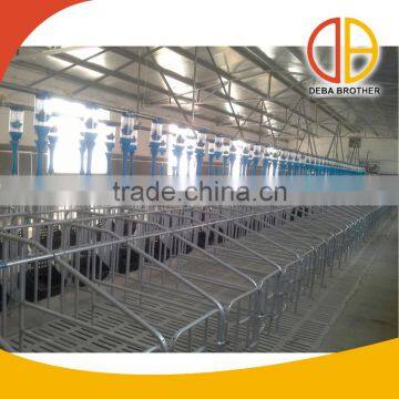 pig farm equipment auto feeding line