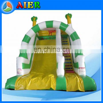 Inflatable tiger theme dry slide