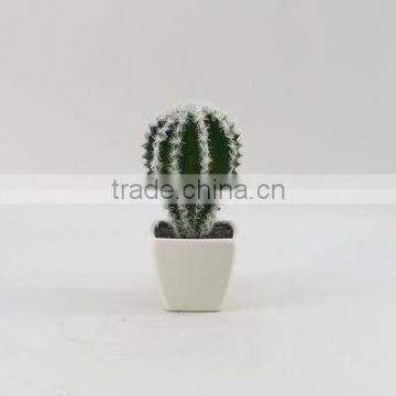 new design Potted mini artificial cactus plants for home or office decorating