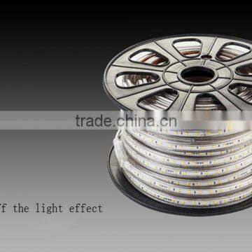 Project Lighting Outdoor Indoor Strip Light 220V SMD5050/2835/5730 60LEDs/120LEDs Rope Light