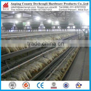Professional breeding hen cage /Laying hens breeding cage
