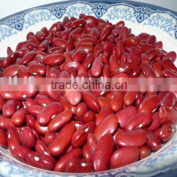 all sizes Red Kidney beans /British red 2010 crop