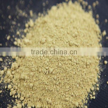 High Quality Yellow Ginger Powder