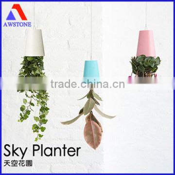 fashion sky planter