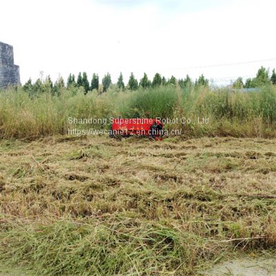 remote slope mower for sale, China rc mower price, robot lawn mower for hills for sale