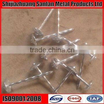 Smooth shank electro galvanized umbrella head roofing nail