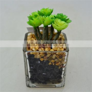 New Product New Design Artificial Plant with Little Glass pot