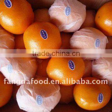 Chinese Navel Orange/Big Navel Orange