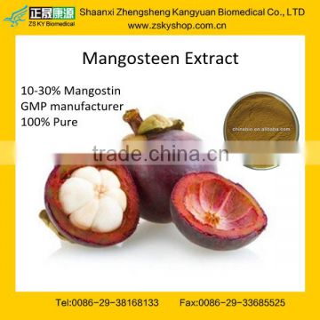GMP Factory Supply Exwork Price Mangosteen Extract Powder