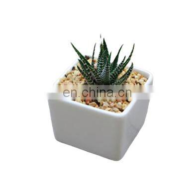 wholesale creative simple square white zakka ceramic succulent plant pot for garden/balcony/desktop