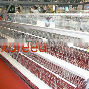 chicken layer cage for selling to africa