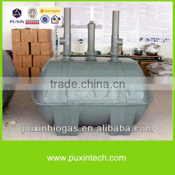 Industrial and domestic sewage and waste treatment biogas plant