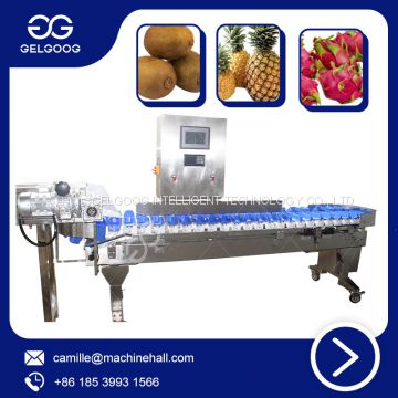 Automatic Fruit Weight Sorting Machine Vegetable Classifying Machine With Reasonable Price