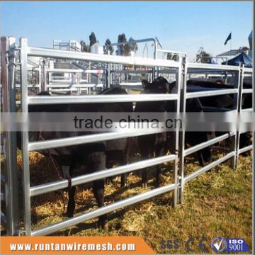 Australia hot dipped galvanized cattle fence In Farm (Factory Trade Assurance)