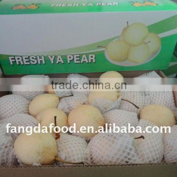 fresh ya pear /china pears