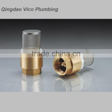 Spring Loaded Check Valve with Filter