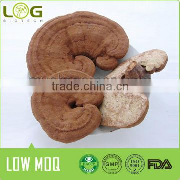 2016 hot sales best Dried Ganoderma Lucidum Mushroom