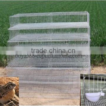 Automatic quail cage with feeder quail use sold to Russia