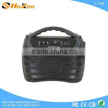 audio subwoofer sound system,car audio subwoofer