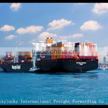 Shenzhen Shanghai Ningbo Sea freight to USA door to door service DDP DDU