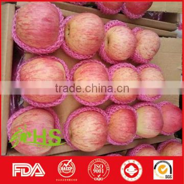 export fresh red delicious apple fruit fresh qinguan apple