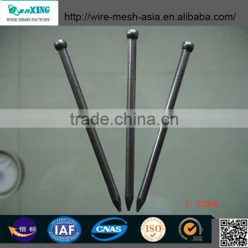 Polished galvanised round common nail