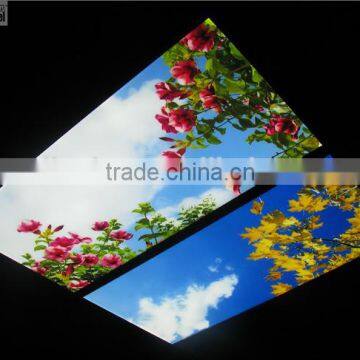 blossom life flower sky ceiling LED light