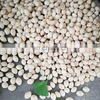 Sinocharm BRC-A Approved Fresh IQF Frozen Sweet Yellow or Green Ginko Nut