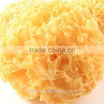 Chinese High Quality snow fungus Tremella