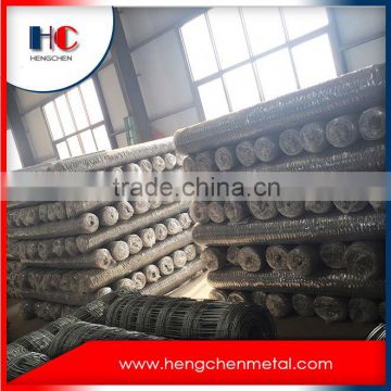 China galvanized hexagonal wire mesh factory
