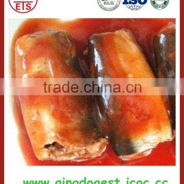 Canned fish in tomato sauce with vegetable oil canned mackerel